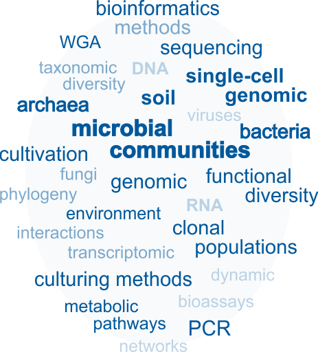 Microbial Diversity, Grafik: R. Stoltenburg/UFZ